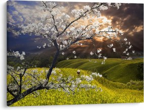 Tablou - Peisaj cu pomul înflorit (70x50 cm)