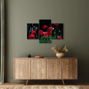 Tablou - Dansul macilor (90x60 cm)