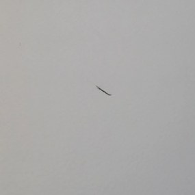 RESIGILAT - Scaun de bar din piele eco si cadru metalic ABS 113 rosu