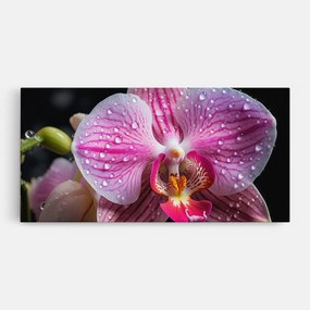Tablou Canvas, 60x120cm, Dormitor si Living, Flori, Orhidee, Pretty Orchid After Rain