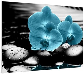 Tablou cu flori de orhidee albastre (70x50 cm), în 40 de alte dimensiuni noi