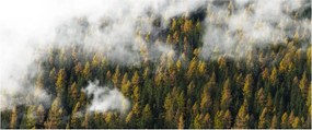 Tablou - Pădure în nori (120x50 cm)
