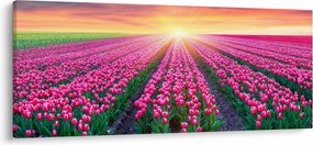 Tablou cu câmp de lalele cu soare (120x50 cm)