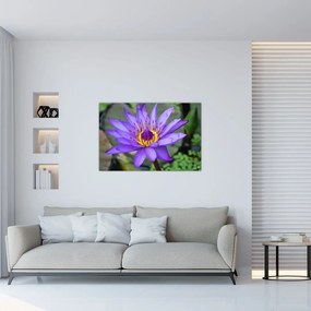 Tablou - Floare violet (90x60 cm)