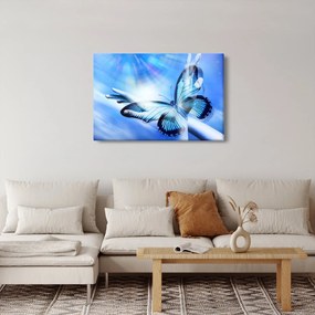 Tablou - Fluture, simbolul speranței (90x60 cm)