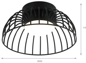 Plafonieră LED BETSY, 12 W, 230 V, Ø 25 cm, negru