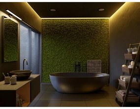 Aplică de perete neagră LED Catania – GTV