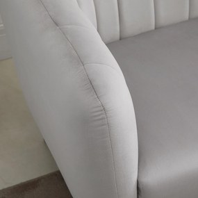 HOMCOM Canapea 2 Locuri Design Modern Captusita cu Cotiere si Spatar, Gri