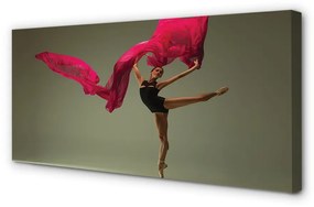 Tablouri canvas Material roz Ballerina