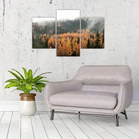 Tablou - Pădure toamna (90x60 cm)