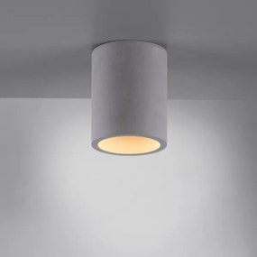 Spot ETON 1xGU10/10W/230V Paul Neuhaus 6160-22