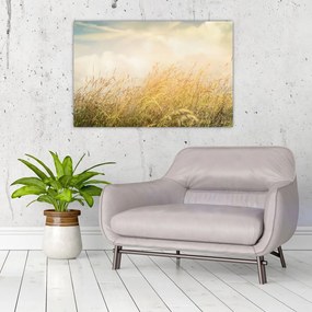 Tablou - Câmp toamna (90x60 cm)