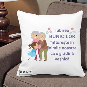 Cadou pentru Bunici - Perna Personalizata Bunicii Iubirea Infloreste Bunici cu Nepoata Colorat, 40x40 cm, Alba Mata, Husa Detasabila, Perna Inclusa, BEKZ®