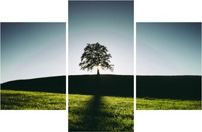 Tablou cu natura - copac (90x60 cm)