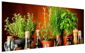 Tablou cu plante și condimente (120x50 cm), în 40 de alte dimensiuni noi