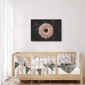 Tablou pe sticlă cu floare portocalie (70x50 cm)