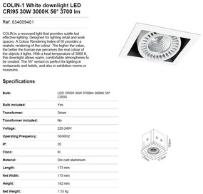 Spot LED incastrabil COLIN-1 56° 30W 3000K 034009401