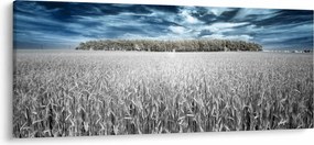 Tablou cu câmp (120x50 cm)