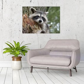 Tablou - Raton (70x50 cm)