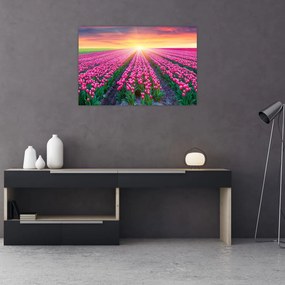 Tablou cu câmp de lalele cu soare (90x60 cm)