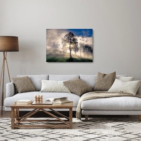 Tablou pe sticlă cu copac în ceață (70x50 cm)