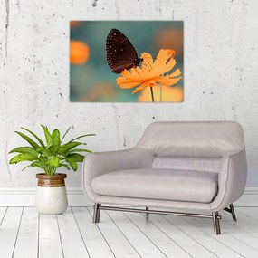 Tablou pe sticlă - fluture pe o floare portocalie (70x50 cm)