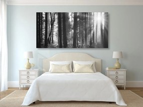 Tablou pădure luminată de soare în design alb-negru