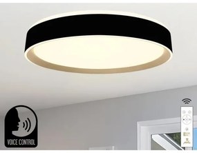 Plafonieră LED dimabilă cu control vocal OPAL LED/48W/230V + telecomandă
