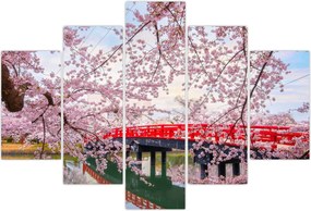 Tablou - Hirosaki, Japonia (150x105 cm)