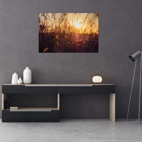 Tablou - Câmp la apus de soare (90x60 cm)