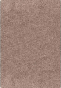 vidaXL Covor Shaggy Antiderapant Maro 80 x 150 cm PP