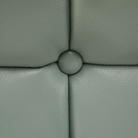 Fotoliu design, piele / piele ecologică, neomint / negru, LINSY
