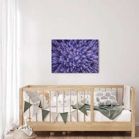 Tablou cu copacii înzăpeziți (70x50 cm)