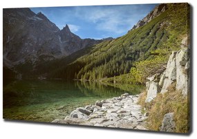 Pictură pe pânză Marine ochi tatry