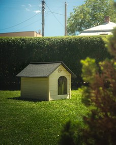 Cușcă pentru câine Beni XL