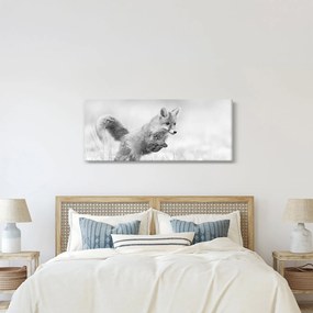 Tablou - Vulpe care sare,alb-negru (120x50 cm)