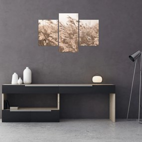 Tablou - Adiere de luncă (90x60 cm)