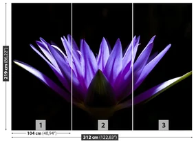 Fototapet Purple Lotus