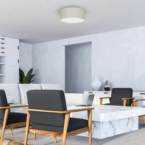 Plafonieră LINO 2xE27/60W/230V