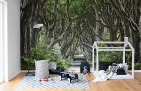 Fototapet, Magical Alley, Rebel Walls
