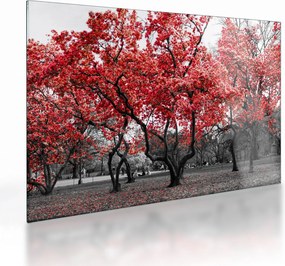 Tablou pe sticlă - Copacii roșii, Central Park, New York (70x50 cm)