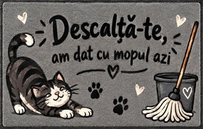 Covoraș de intrare, antiderapant, model cu pisica și mop, 50x70 cm, CIN103