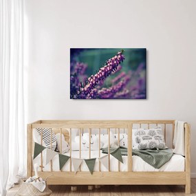 Tablou cu floare violetă (90x60 cm)