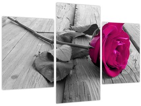 Tablou - Trandafir roz (90x60 cm)