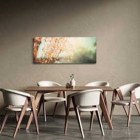 Tablou - Plante după ploaie (120x50 cm)