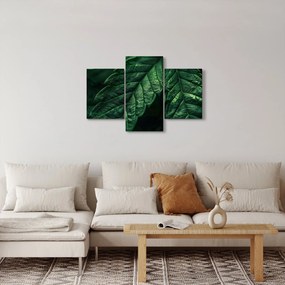 Tablou - Detaliu al foii (90x60 cm)