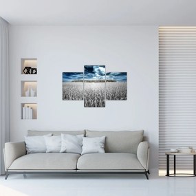Tablou cu câmp (90x60 cm)