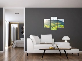 Tablou plantație (90x60 cm)