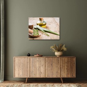 Tablou - Aloe vera (70x50 cm)