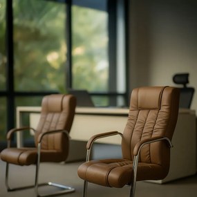Scaun vizitator OFF 8115 maro din piele ecologică cu aspect elegant